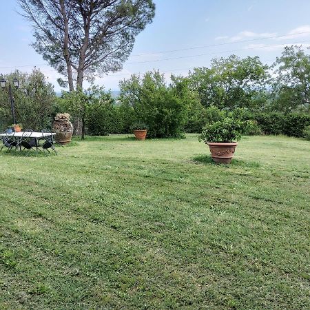 Agriturismo Bellandi Santa Lucia  エクステリア 写真
