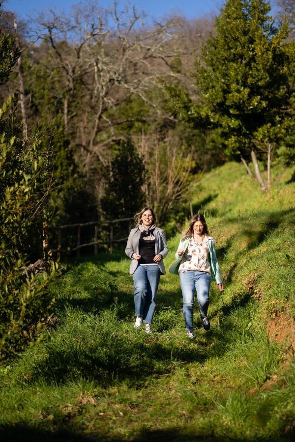 Agriturismo Bellandi Santa Lucia  エクステリア 写真
