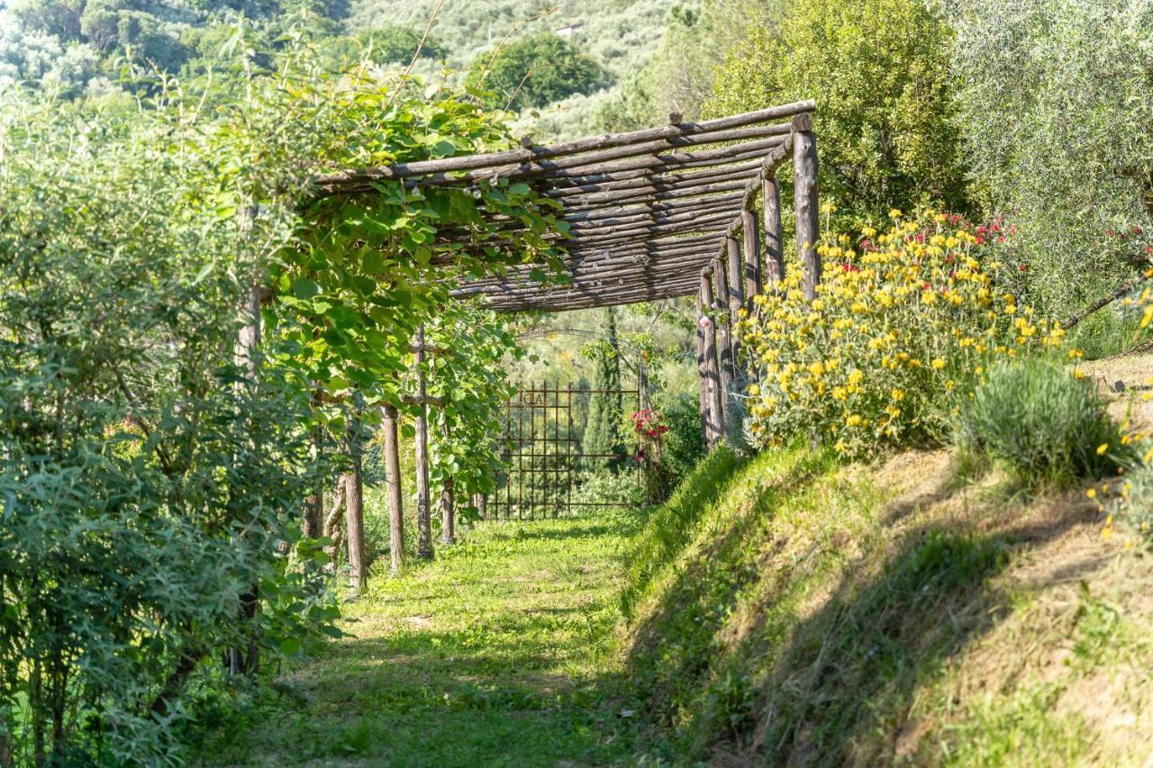 Agriturismo Bellandi Santa Lucia  エクステリア 写真