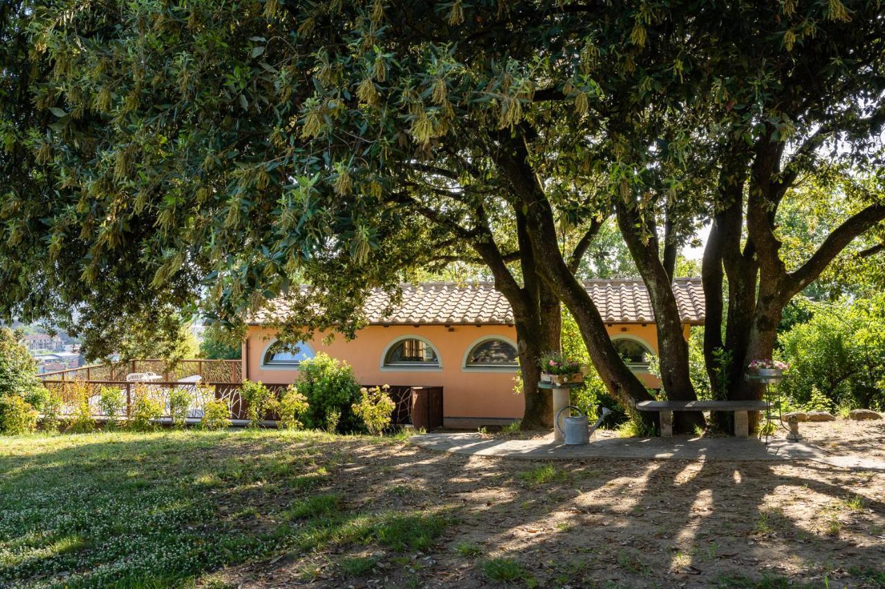 Agriturismo Bellandi Santa Lucia  エクステリア 写真