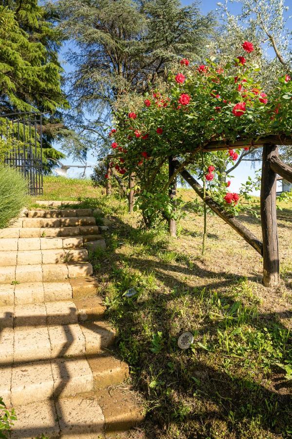 Agriturismo Bellandi Santa Lucia  エクステリア 写真